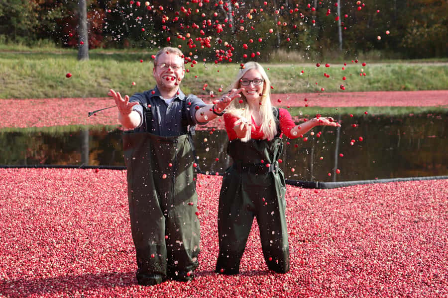 Toronto: Muskoka Cranberry Farm and Hardy Lake Hike - Gravenhurst gives the day a welcome pause