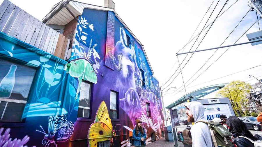 Toronto: Must Do NonTouristy Street Art Tour by local Artist - Why the $8 price is unusually good value