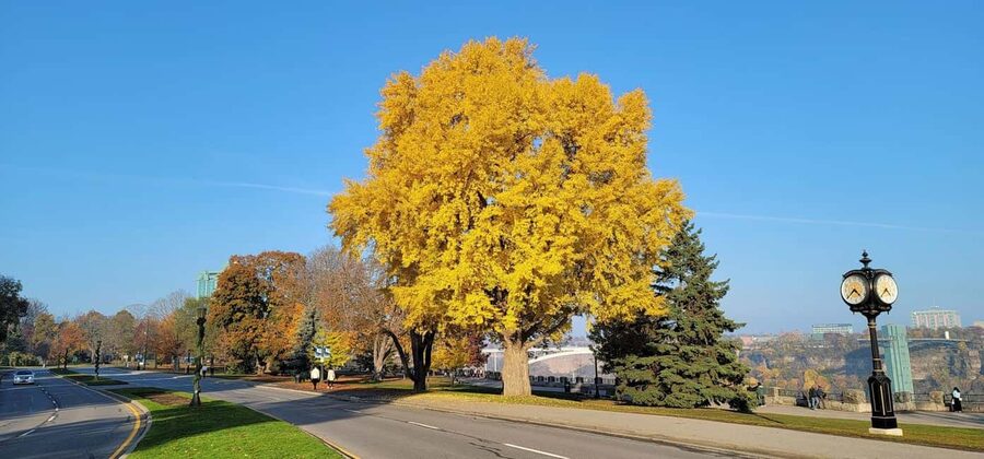 Toronto: Niagara Falls & NOTL Heritage Town Guided Day Tour - Guides, group size, and the pace of the day