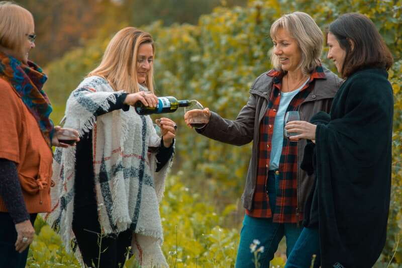 Toronto: Niagara Wineries Tasting Tour & Optional Lunch - Niagara-on-the-Lake adds more than another tasting