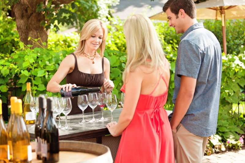 Toronto: Niagara Wineries Tasting Tour & Optional Lunch - Price and what you receive for $166