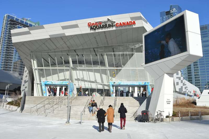 Toronto: Ripley's Aquarium of Canada Entry Ticket - Why the underwater tunnel deserves first billing