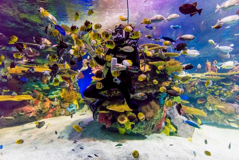 Toronto: Ripley's Aquarium of Canada Entry Ticket - Who will enjoy this most
