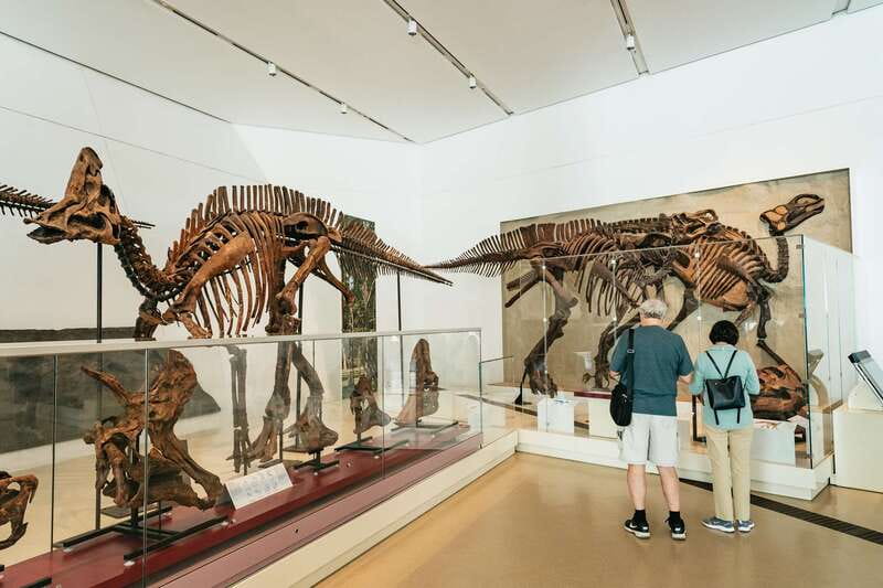 Toronto: Royal Ontario Museum Admission Ticket - Why the ROM deserves a full day