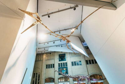 Toronto: Royal Ontario Museum Admission Ticket