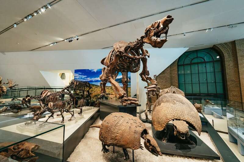 Toronto: Royal Ontario Museum Admission Ticket - Fossils, minerals, and the origins of life
