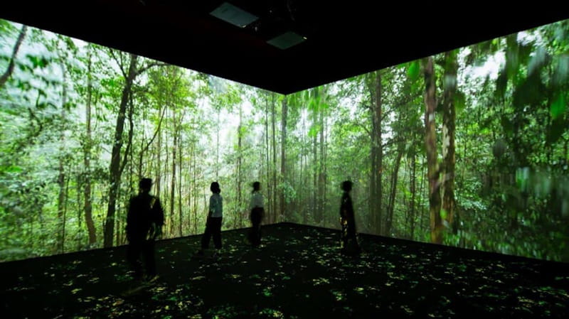 Toronto: Royal Ontario Museum Special Exhibits Voucher - Why the ROM works so well for a one-day Toronto plan