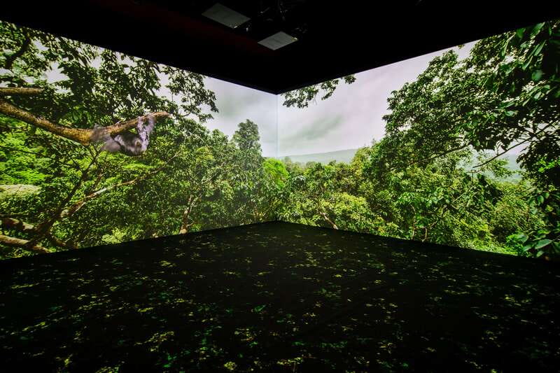Toronto: Royal Ontario Museum Special Exhibits Voucher - The bat cave and the natural history galleries