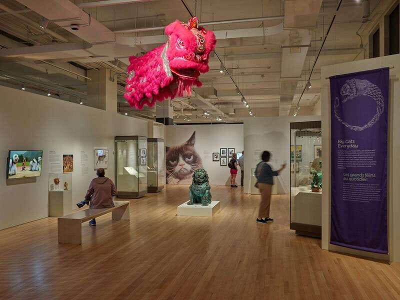 Toronto: Royal Ontario Museum Special Exhibits Voucher - How long should you allow?
