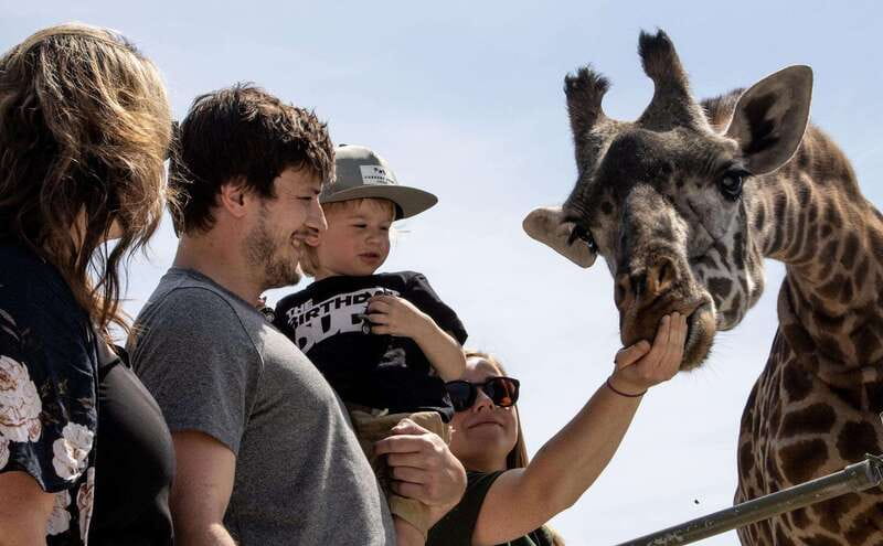 Toronto: Toronto Zoo Entry Ticket - A full day across seven animal regions