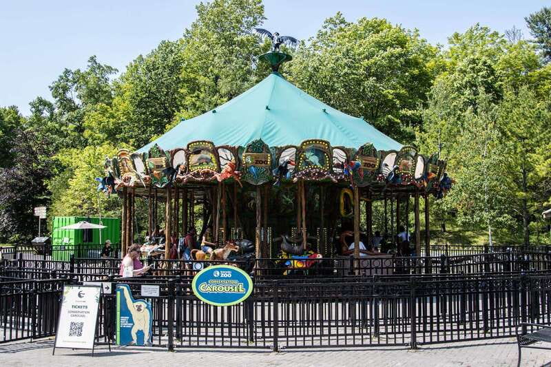 Toronto: Toronto Zoo Entry Ticket - Family stops beyond the animal exhibits