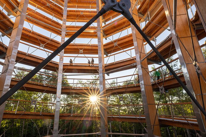 Treetop Observatory and Walk - A forest walk that leads to a high lookout