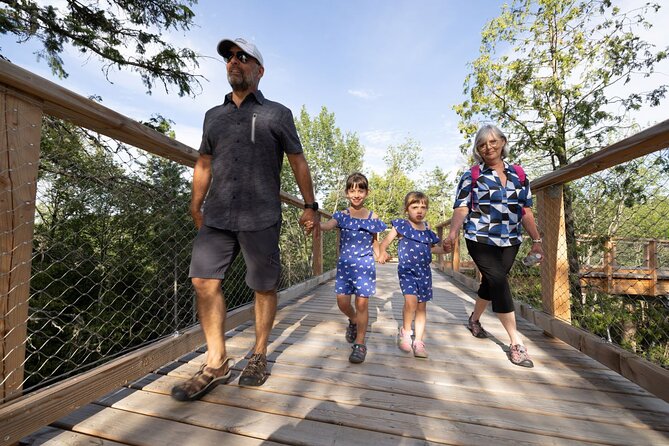 Treetop Observatory and Walk - Is the $32.39 price good value?