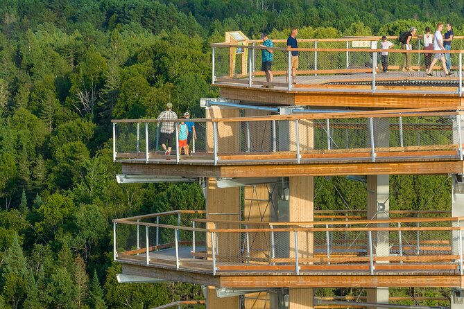 Treetop Observatory and Walk - Who will enjoy this outing most?