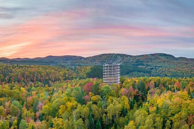Treetop Observatory and Walk - Practical planning from Montreal