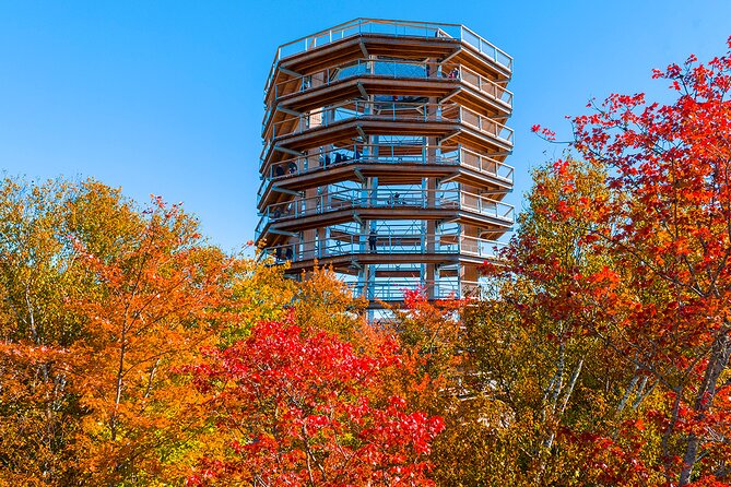 Treetop Observatory and Walk - A good choice for scenery, with one major catch