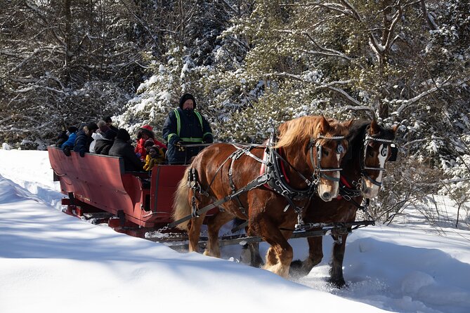 Tremblant Sleighride - What the 50-minute ride is really like