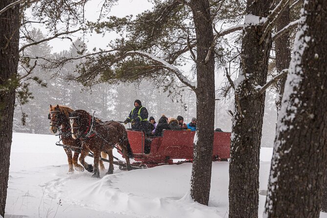 Tremblant Sleighride - Choosing daylight, sunset, or darkness