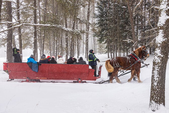 Tremblant Sleighride - Who will enjoy this most?