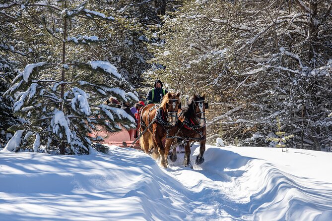 Tremblant Sleighride - Why the guide matters so much