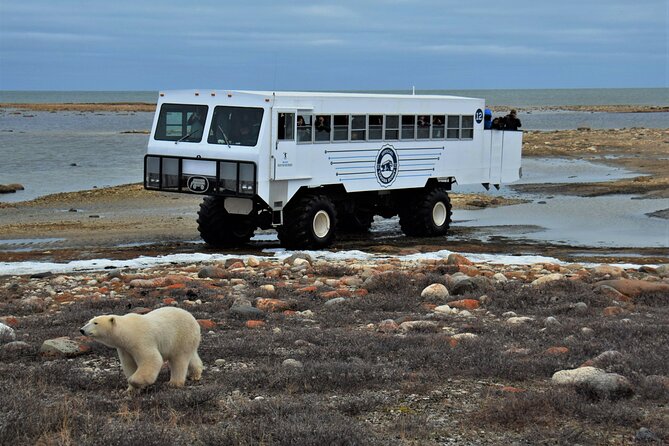 Tundra Buggy Autumn Day Tours - Riding the Tundra Buggy into open country