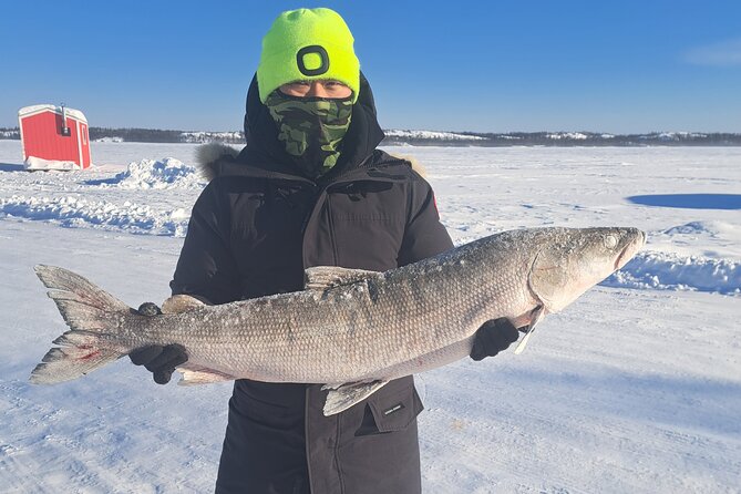Ultimate Ice Fishing with Lunch - Key points at a glance