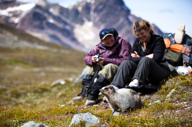 Ultimate Jasper Nature Walk - The animals you might encounter
