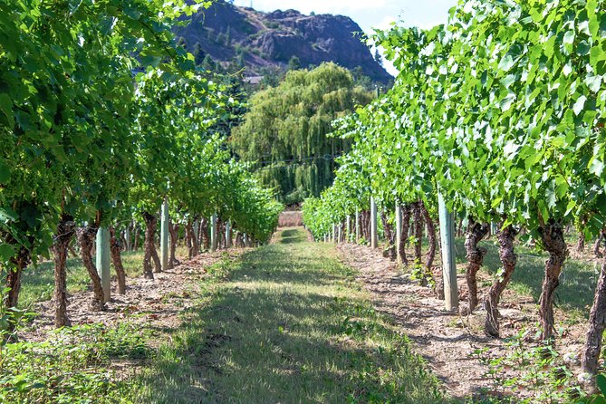 Unmatched Private Wine Tours for Up to 11 in Kelowna Area - Volcanic Hills for approachable wines and a patio stop