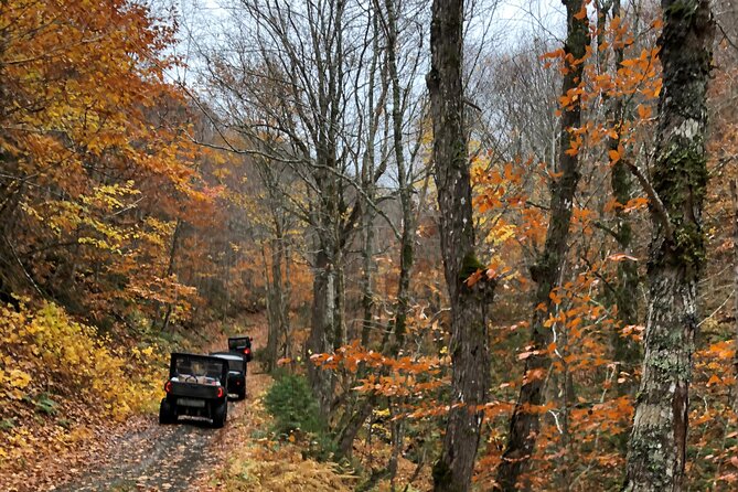 UTV/Side-by-Side Trail Tour to Cape Clear Look-off - Key points to know before you book