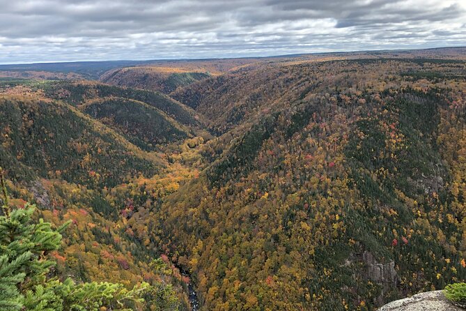 UTV/Side-by-Side Trail Tour to Cape Clear Look-off - Who will enjoy this Cape Breton outing?