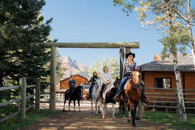 Valley Vista 1.5 Hour Horseback Trail Ride in Kananaskis - Key points at a glance