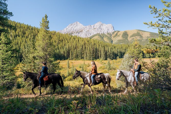 Valley Vista 1.5 Hour Horseback Trail Ride in Kananaskis - A 1.5-hour ride that finds the right middle ground