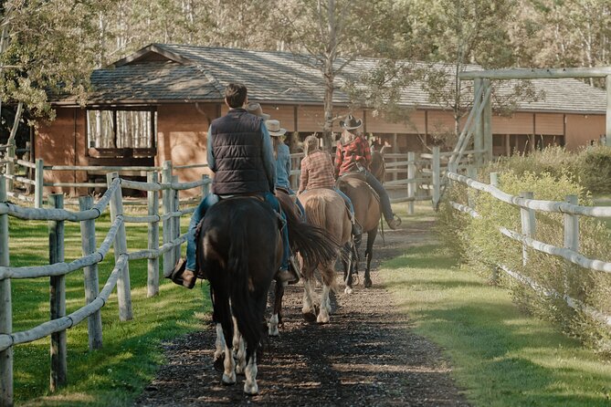 Valley Vista 1.5 Hour Horseback Trail Ride in Kananaskis - Why the private format matters
