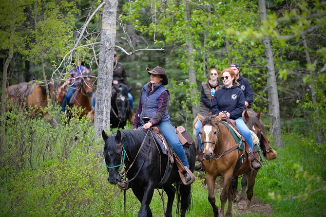 Valley Vista 1.5 Hour Horseback Trail Ride in Kananaskis - Horses, equipment, and riding ability