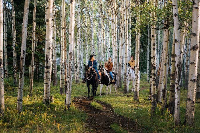 Valley Vista 1.5 Hour Horseback Trail Ride in Kananaskis - From the aspen grove to Mount Kidd views