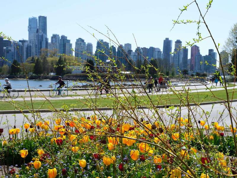 Vancouver: 24 or 48-Hour Hop-On Hop-Off Trolley Tour Pass - Comfort, sound, and access