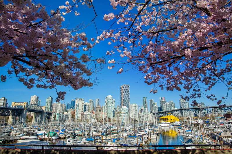 Vancouver: 24 or 48-Hour Hop-On Hop-Off Trolley Tour Pass - Stanley Park’s long, useful loop