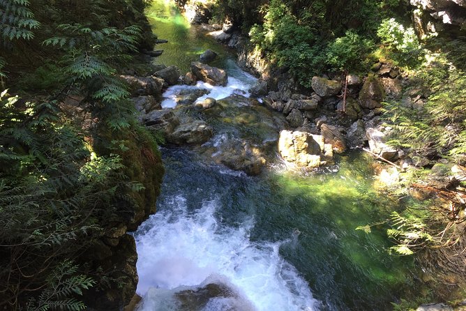 Vancouver Biking and Hiking Tour including Lunch - What the guide adds in the forest