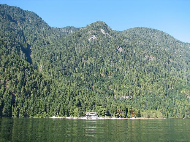 Vancouver Brunch Cruise - Should you book the Vancouver brunch cruise?