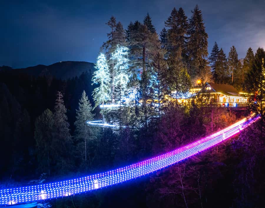 Vancouver: Capilano Bridge, Cleveland Dam & Lynn Canyon Tour - Capilano Suspension Bridge Park has the biggest thrill