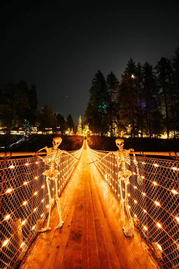 Vancouver: Capilano Bridge, Cleveland Dam & Lynn Canyon Tour - The Capilano River Hatchery adds a useful wildlife stop