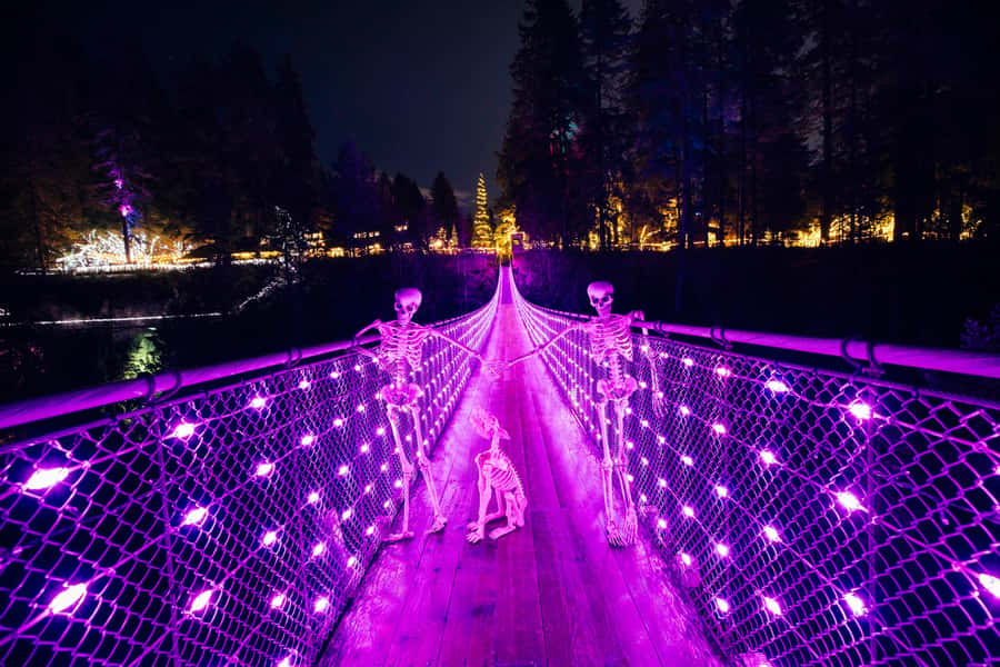 Vancouver: Capilano Bridge, Cleveland Dam & Lynn Canyon Tour - The guide can shape the day