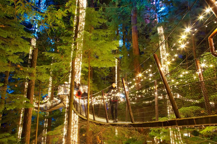 Vancouver: Capilano Bridge, Cleveland Dam & Lynn Canyon Tour - What the $136 price really buys you