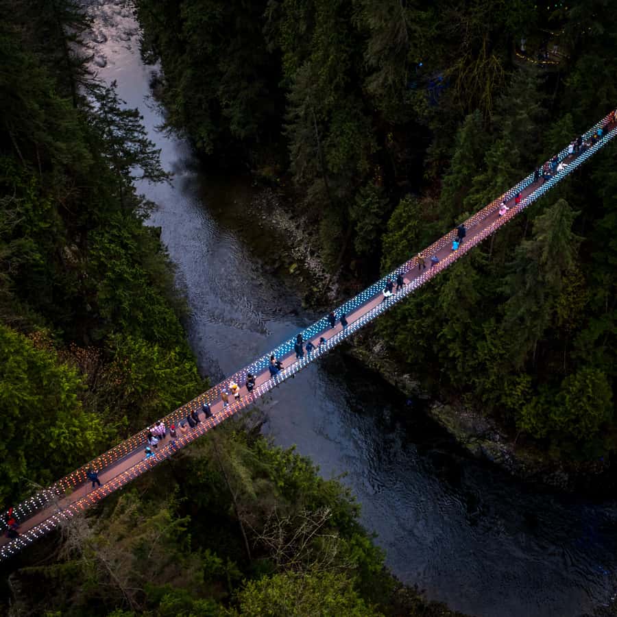 Vancouver: Capilano Bridge, Cleveland Dam & Lynn Canyon Tour - Lynn Canyon, where the forest sets the mood