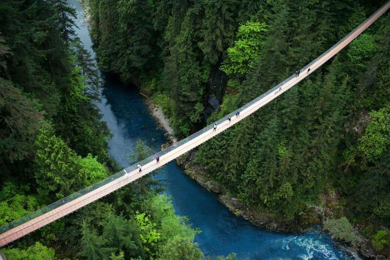 Vancouver: Capilano Suspension Bridge Park Ticket - Why Capilano is more than a suspension bridge