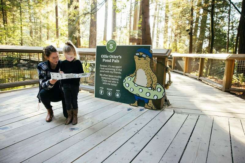 Vancouver: Capilano Suspension Bridge Park Ticket - Cliffwalk and the glass platforms