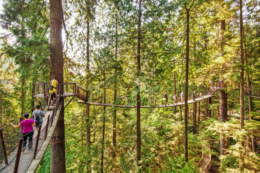 Vancouver: Capilano Suspension Bridge Park Ticket - Nature talks, forest stories, and small discoveries