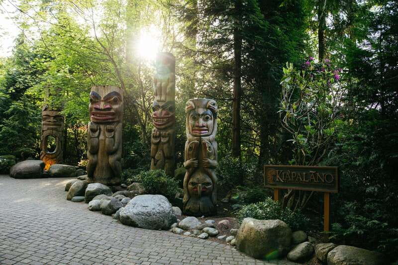Vancouver: Capilano Suspension Bridge Park Ticket - Rain, seasonal lights, and the changing mood of the park