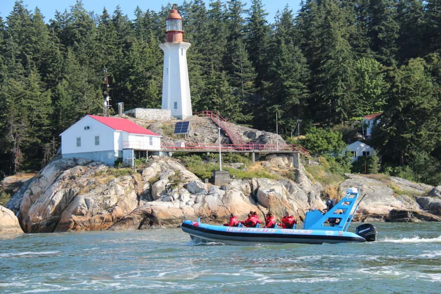 Vancouver: City and Seal Boat Tour - Why this short Vancouver boat tour works so well