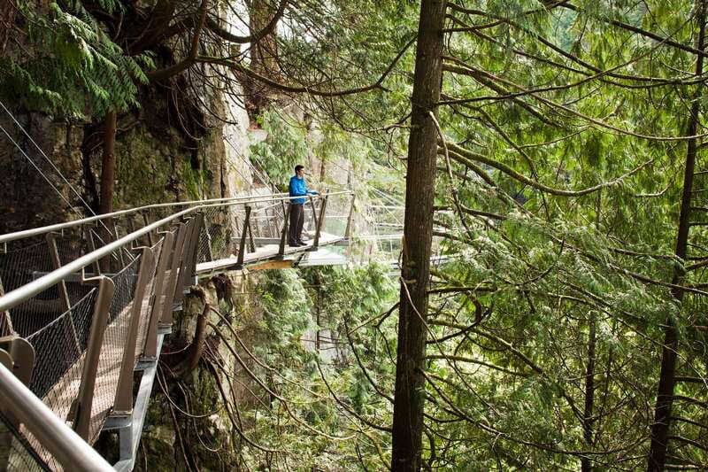Vancouver: City+Lookout+Capilano Suspension Bridge Ticket - Why this six-and-a-half-hour route works